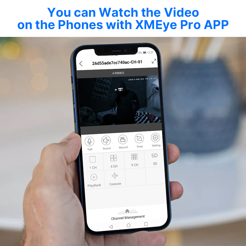 Hiseeu 5MP Audio IP Security S - Home Cinema Sony reseña y precio